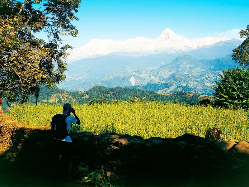 annapurna summer